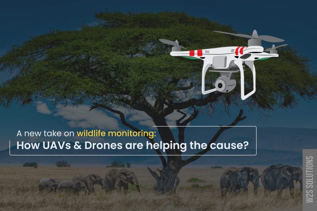 How Do Aerial Drones Assist In Wildlife Monitoring?