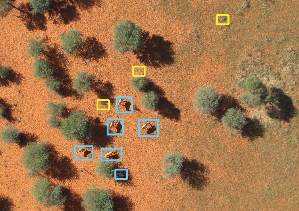 How Do Aerial Drones Assist In Wildlife Monitoring?